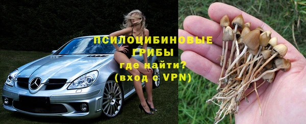 метадон Алексин