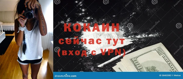 метадон Алексин