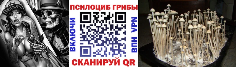 OMG вход  Карачев  Псилоцибиновые грибы мухоморы  мориарти телеграм  наркота 