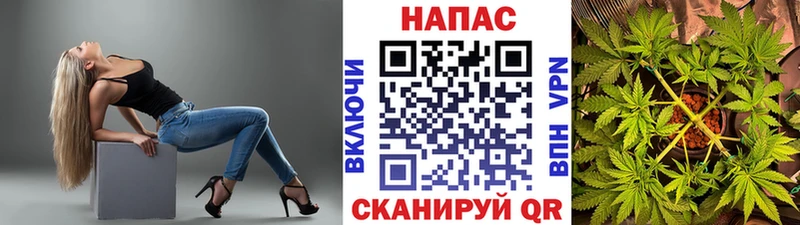 МАРИХУАНА гибрид  Карачев 